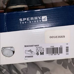 sperry seacoast